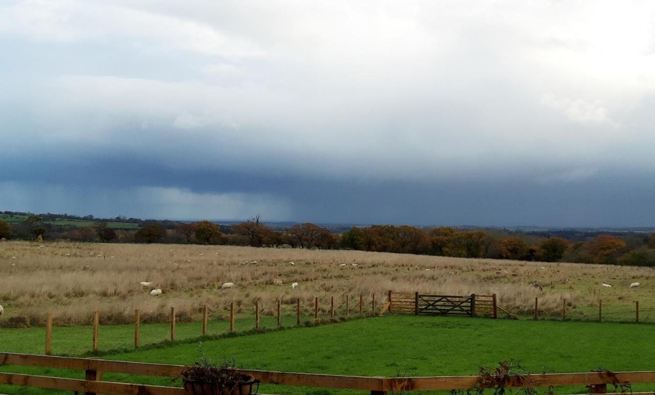 Dene House Farm Otel Longframlington Dış mekan fotoğraf